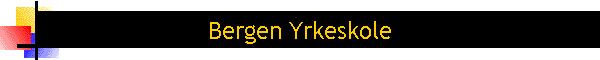 Bergen Yrkeskole